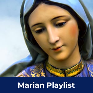 15511-Tout02_300x300 (1)